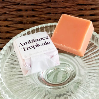 Fondant Ambiance Tropicale
