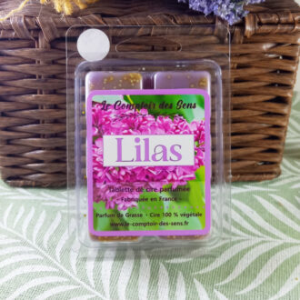 Clamshell Lilas