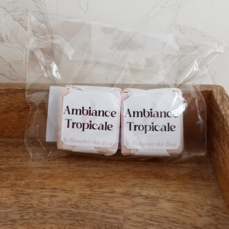 Fondant de cire solide Ambiance Tropicale